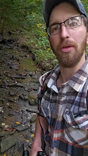 Testing the Waterdrop Filter Straw results under a microscope 💧 #waterdroplifestraw #waterdrop #waterdropfilter #microscope #waterpurification #waterdroplifestraw #hiking #camping #outdoors #ecoflow | Camping & Bushcraft