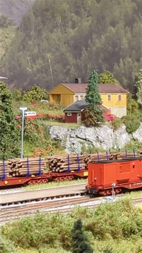 Model Trains & Scenery ✨ Miniature world at its finest!