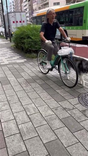 Asakusa, Tokyo #shorts #youtubeshorts #shortsfeed #travel