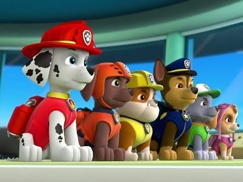 Paw Patrol - Pups Go All Monkey