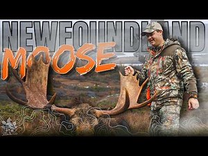 BIG Canadian Bull Moose Hunt (Adventure of a Lifetime) | Canada in the Rough