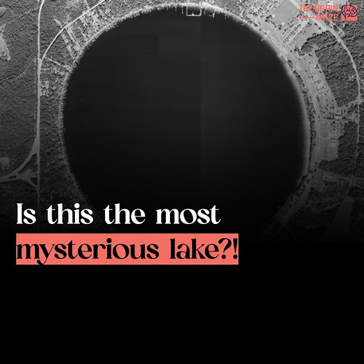 24K views · 111 reactions | Have you ever seen a lake so perfectly round, it looks like a man-made creation? Kingsley Lake in Florida is a natural phenomenon that defies explanation. Formed by a massive sinkhole over millions of years, this stunning body of water has captivated visitors for centuries | The Brain Maze | Facebook