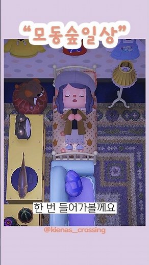 모동숲일상☀️ 동숲을 즐기는 방법