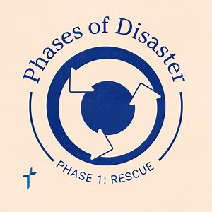 1.6K views · 19 reactions | UNDERSTANDING THE 3️⃣ PHASES OF A...