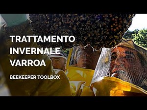 Trattamenti VARROA invernali con APIBIOXAL gocciolato | Beekeeper Toolbox