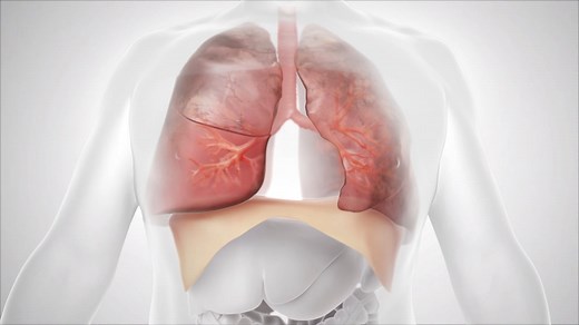 Zephyr Valve: How It Works