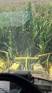 Quick note, this was filmed last Friday, just haven't had time to upload it yet. I discuss the yield and what we're happy with towards the end. Overall off to a good start! Hoping to have things wrapped up this weekend at the main farm and then around 40 acres left up the road a little ways | IowaDairyFarmer