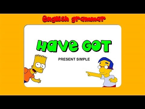 The verbs "have got" and "has got" in English. English grammar.