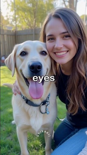 Why a Labrador’s Smile Is the Happiest Sight Ever!