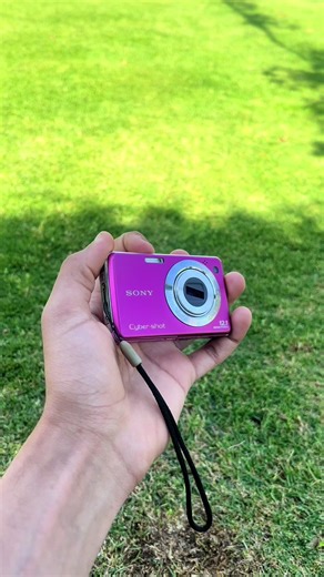 Sony Cyber-shot DSC-W220 Digital Camera - 12.1MP, 4x Optical Zoom