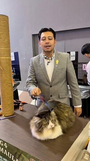 DieDie ring 4 2nd best household pet #FFF | Mrdiedie