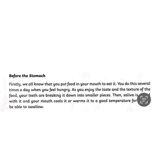 English Practice Day 8 Digestive System 消化系统 #english