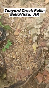 Tanyard Creek Falls - BellaVista, Arkansas #waterfall #Arkansas #hiking #creek #tanyard #bellavista | Joplin Outdoors