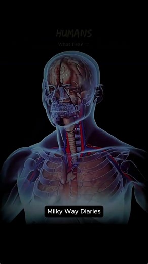 Earth's Future vs Humans 💀🔥#Shorts #Science #Space #Earth #Universe #Sun #war #Trending #ViralVideo