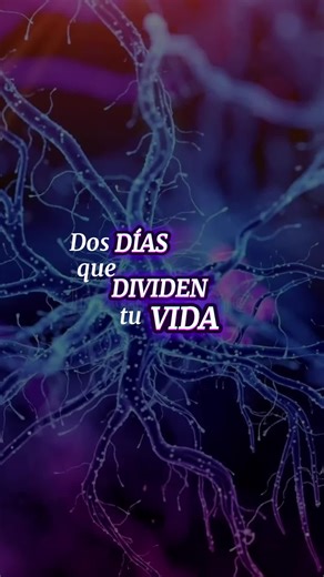 Los dos días que dividen tu vida 1. El día que naces 2. El día que decides reprogramar tu mente y usar neurociencia a tu favor. #neurociencia #reprogramacionmental #brainhack #desbloqueatumente #desarrollopersonal