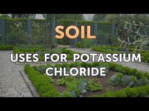 Uses for Potassium Chloride
