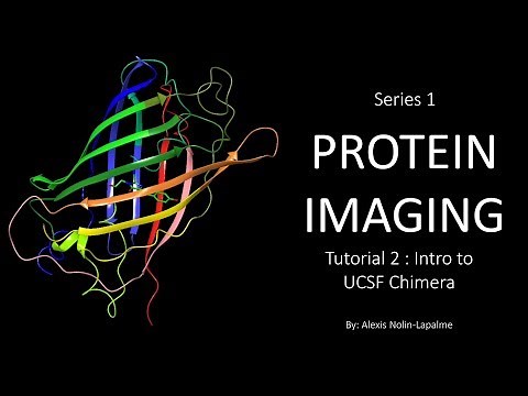 Protein Imaging - Introduction to UCSF Chimera (Tutorial 2)