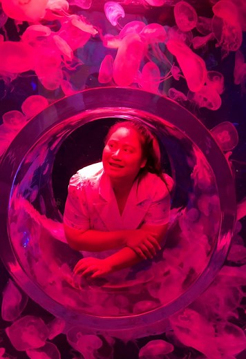 Explore Sea Life Bangkok with Family Fun Experiences