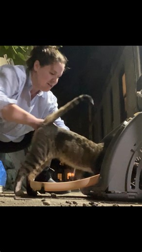 1.4M views · 100K reactions | Twango Nib came to us after weeks of...