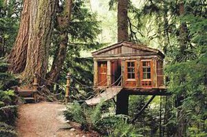 Looking Back to 1962-The Neighborhood Treehouse
