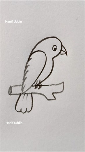 how to draw a bird 🐦