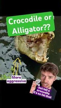 Full explanation of how to tell a crocodile from an alligator in the description