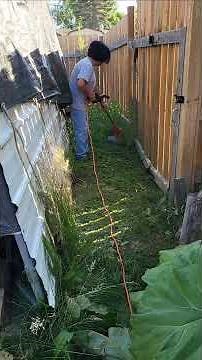 My Very First Time Using Electric Weed Trimmer