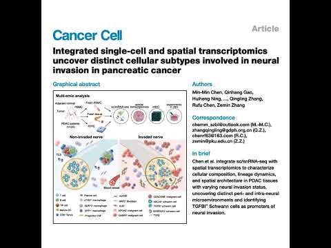 034-Distinct cellular subtypes involved in neural invasion