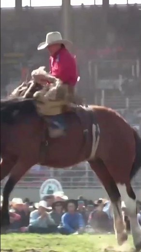 Q Taylor vs Summit Pro Rodeo's Cat Walk | 2025 Pendleton Round-up