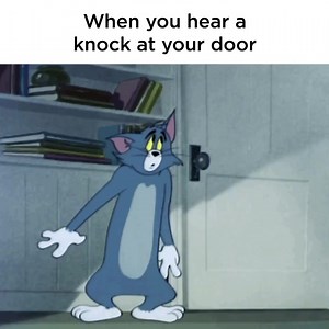 It's either a package, food, or your nosey neighbor | Tom and Jerry