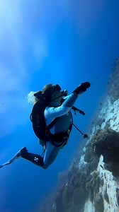 7.5K views · 84 reactions | Undewater fit check 錄  @meggy.diving #ScubaDotCom #OceanMyWay #UnderwaterWorld | Scuba.com | Facebook