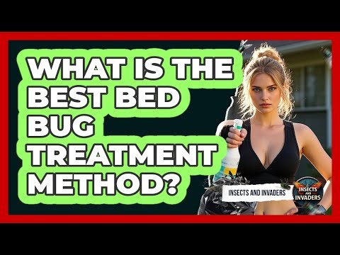 What Is The Best Bed Bug Treatment Method? - Insects and Invaders