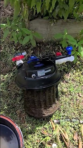 Is This The Best Pond Filter For Beginners?