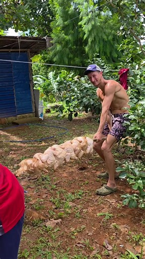 Vilem (@pinoy.x)’s videos with original sound - Vilem