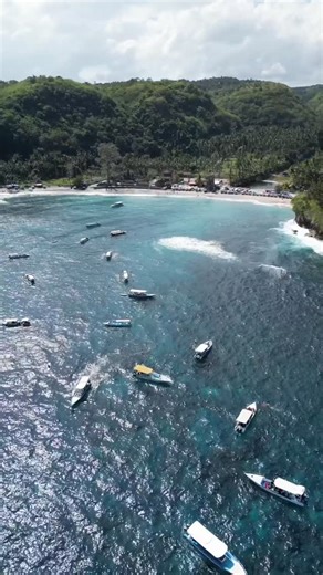 Purple Dive Penida on Instagram: "Training to become an Instructor isn't all sunshine and turtles—it takes grit, focus, and a lot of practice. But when your classroom looks like this, the hard work feels a whole lot better!⁠ ⁠ Swipe to see the team leveling up their skills and getting ready to lead the next generation of divers.⁠ ⁠ Ready to swap your desk for a dive slate? ✍️ Text us via WhatsApp to find out when our next professional program kicks off!⁠ ⁠ #purpledive #PADIIDC #BecomePRO #diving