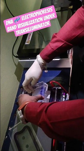 Visualizing DNA: The UV Transilluminator 🧬 🔬