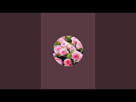 Reshama Khatun Official is live