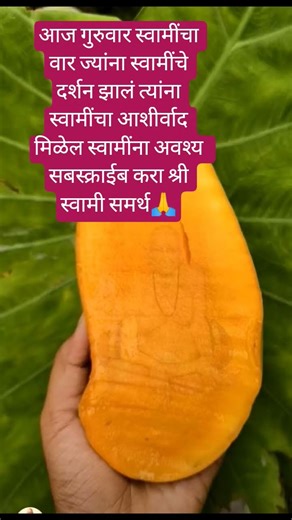 आज स्वामींचा वार ज्यांना स्वामींचे दर्शन होईल त्यांनी स्वामींना आवश्य सबस्क्राईब करा श्रीस्वामीसमर्थ