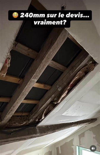 Contrôle de l'isolation des combles par un expert