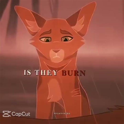 Warrior cats #sadwarriorcats#warriorcats #died#song#sad