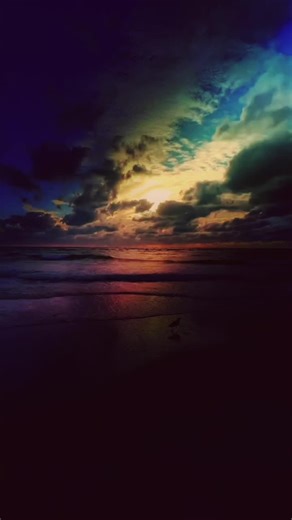 Video di Cat Lady (@cat_lady_dame_aux_chats) con Le firmament - Vianney & Gims