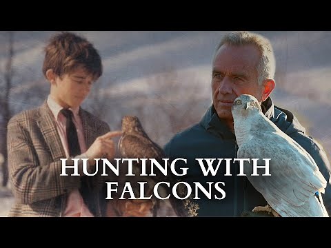 RFK Jr. Describes His Lifelong Love Of Falconry