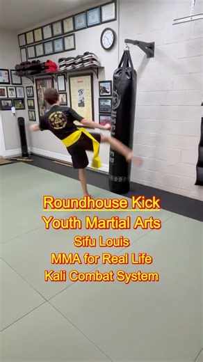 Roundhouse Kick Youth Martial Arts