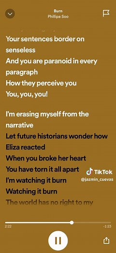Burn Lyrics Explained | Hamilton Musical