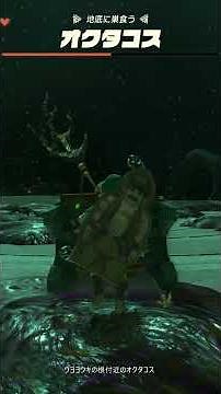 [TotK] Octorok near the Uoyoyouke Lightroot - The Legend of Zelda: Tears of the Kingdom Nintendo ...