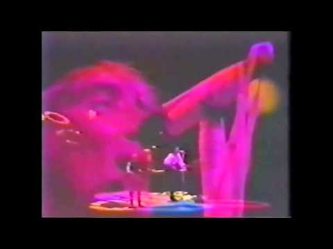 ROD STEWART mandolin wind live in 1988