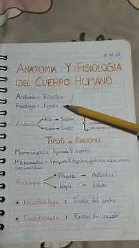 🫀 ANATOMÍA Y FISIOLOGÍA DEL CUERPO HUMANO | Explicación FÁCIL