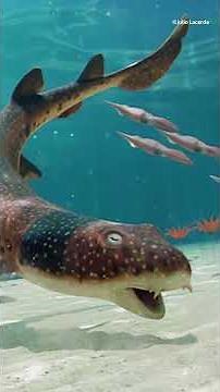 What new species were discovered in 2025? #NHM #NewSpecies #Science