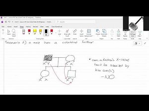 AP Biology Unit 5 - Lesson 49: Sex-Linked Traits and Pedigrees, X-Inactivation, Co-Dominance