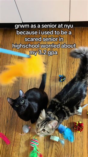 Navigating College Life as a Senior at NYU